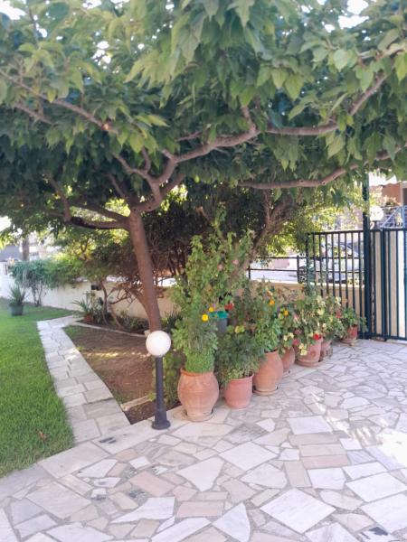 Apartments Sorontilas — view 5